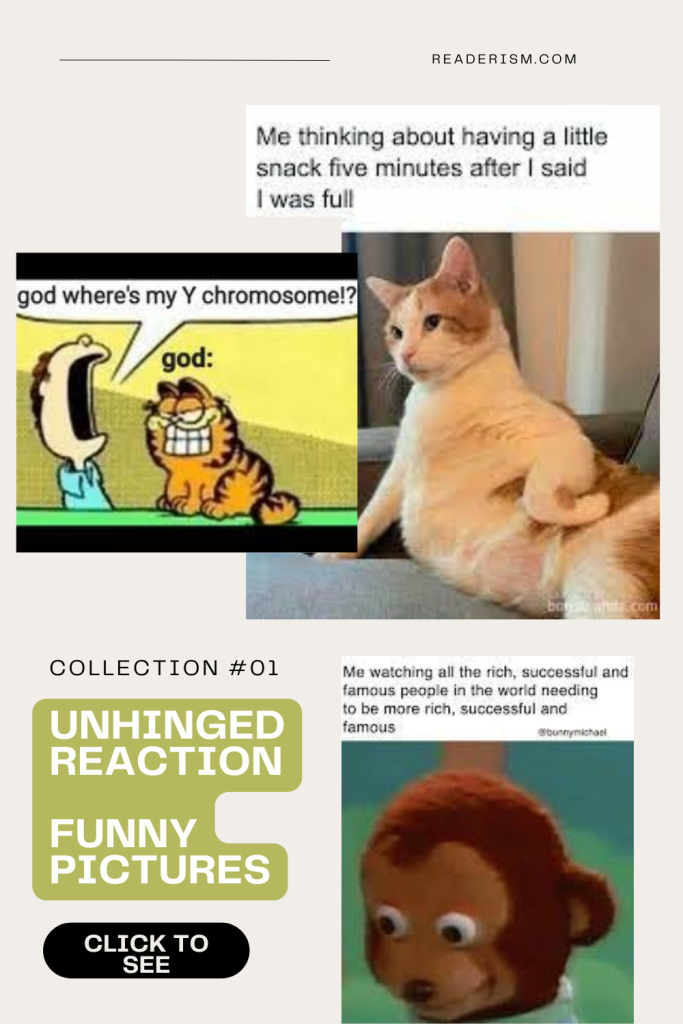 Unhinged Reaction Funny Pictures Readerism